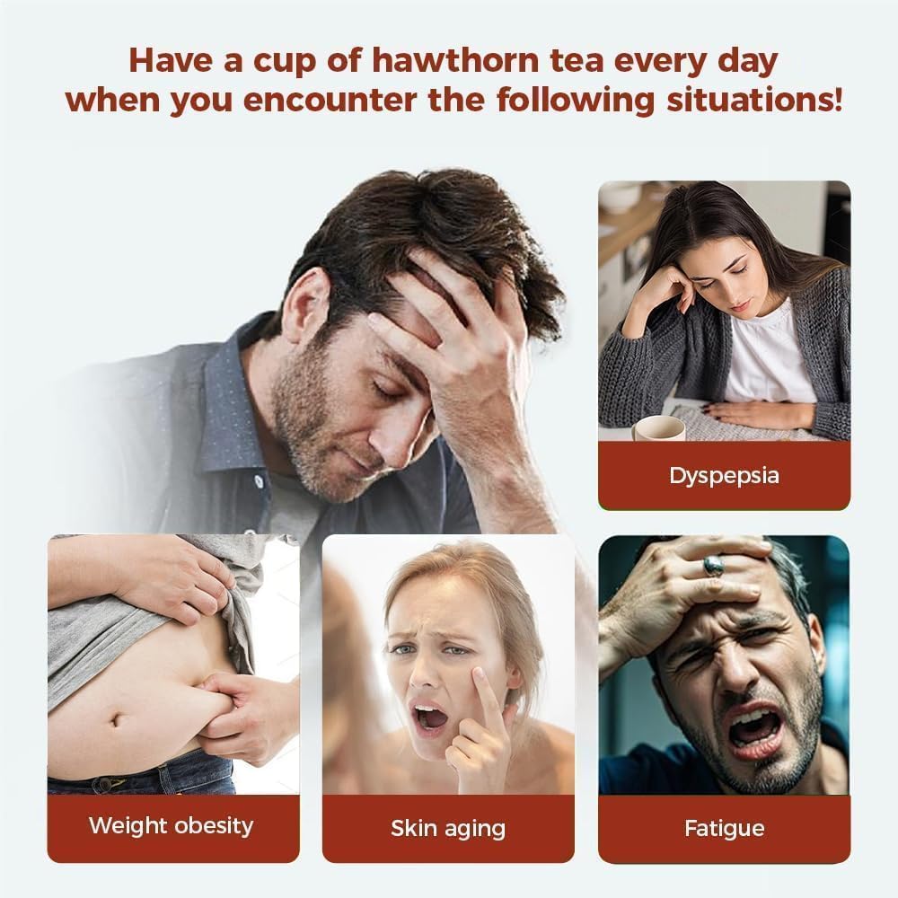 WOTIHA 65 Count Premium Hawthorn Berry Tea Bags - 100% Natural, Aids Digestion, Rich in Antioxidants, Boosts Immunity, Non-GMO Caffeine-Free, Additive-Free