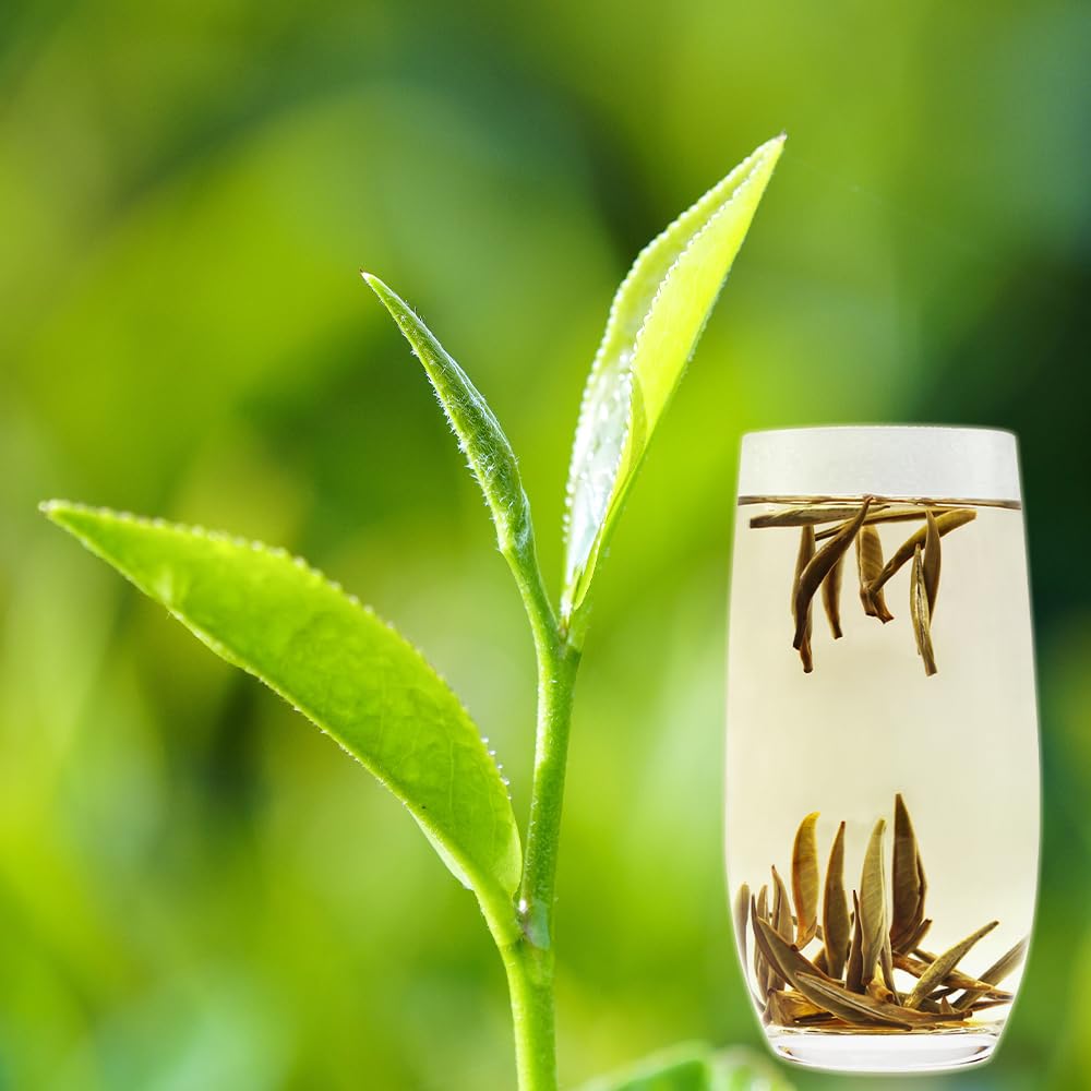 LWXLJMJZC-2.8oz/80g Silver Needle White Tea | Chinese Silver Tips Loose Leaf Tea | Yunnan Yin Zhen With Delicate Honeysuckle
