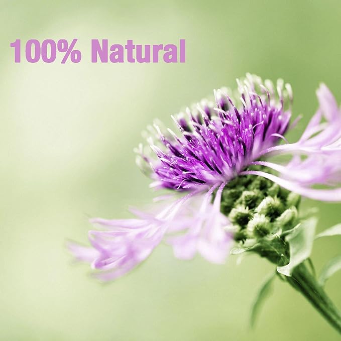 50 Milk Thistle Tea Bags for Detox Cleanse & Repair, Thorne Milk Thistle Herbal Tea for Support