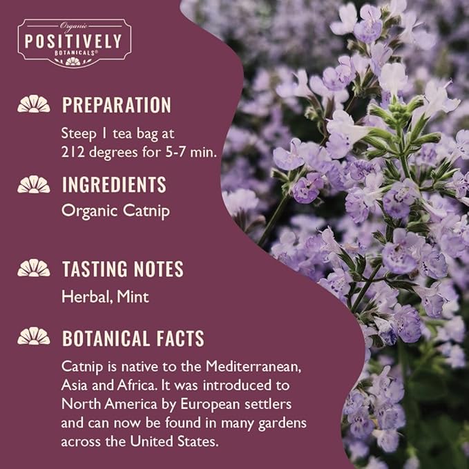 Organic Positively Botanicals Company, Catnip Herbal Tea Bags, 20 Count