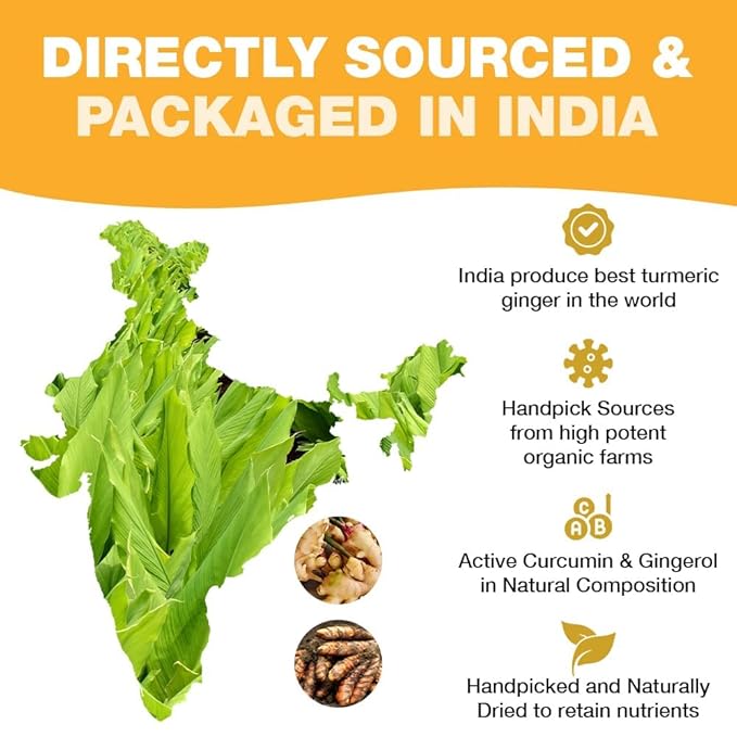 Handpick, Ginger Tea Bags (100 Herbal Tea Bags), Authentic Indian Origin, Caffeine Free & 100% Pure Ginger Root, Round Eco Conscious Teabags