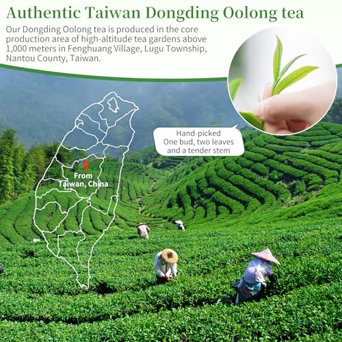 XIXICHA Dongding Oolong Tea Loose Leaf Taiwan Tea High Mountain Oolong Taiwan Dong Ding Gaoshan Ulong Tea Taiwanese Green Oolong One Thousand Meters High Mountain 150g/5.3oz （120 cups）凍頂乌龙茶 冻顶乌龙 乌龙茶 台湾茶