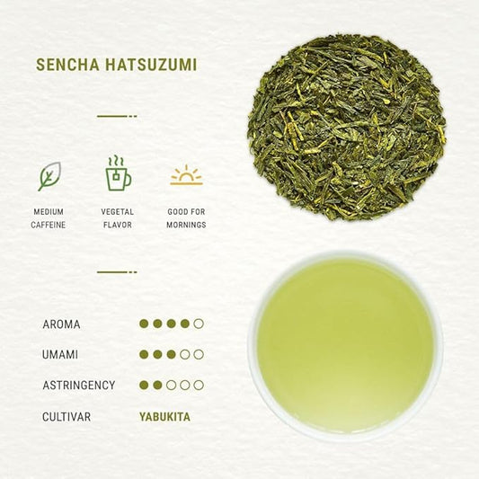 Senbird Premium Sencha - Japanese Green Tea - From Shizuoka, Japan - Loose Leaf Tea In Airtight Tea Tin (3.5oz/100g)