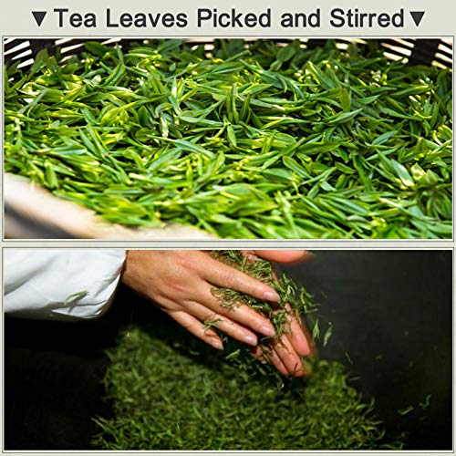 Dragonwell Longjing Tea(Yu Qian),Fresh Dragon Well Green Tea Leaf Picked before Grain Rain Day,4th Class as Economy Option,250g/8.8 oz.,雨前龙井