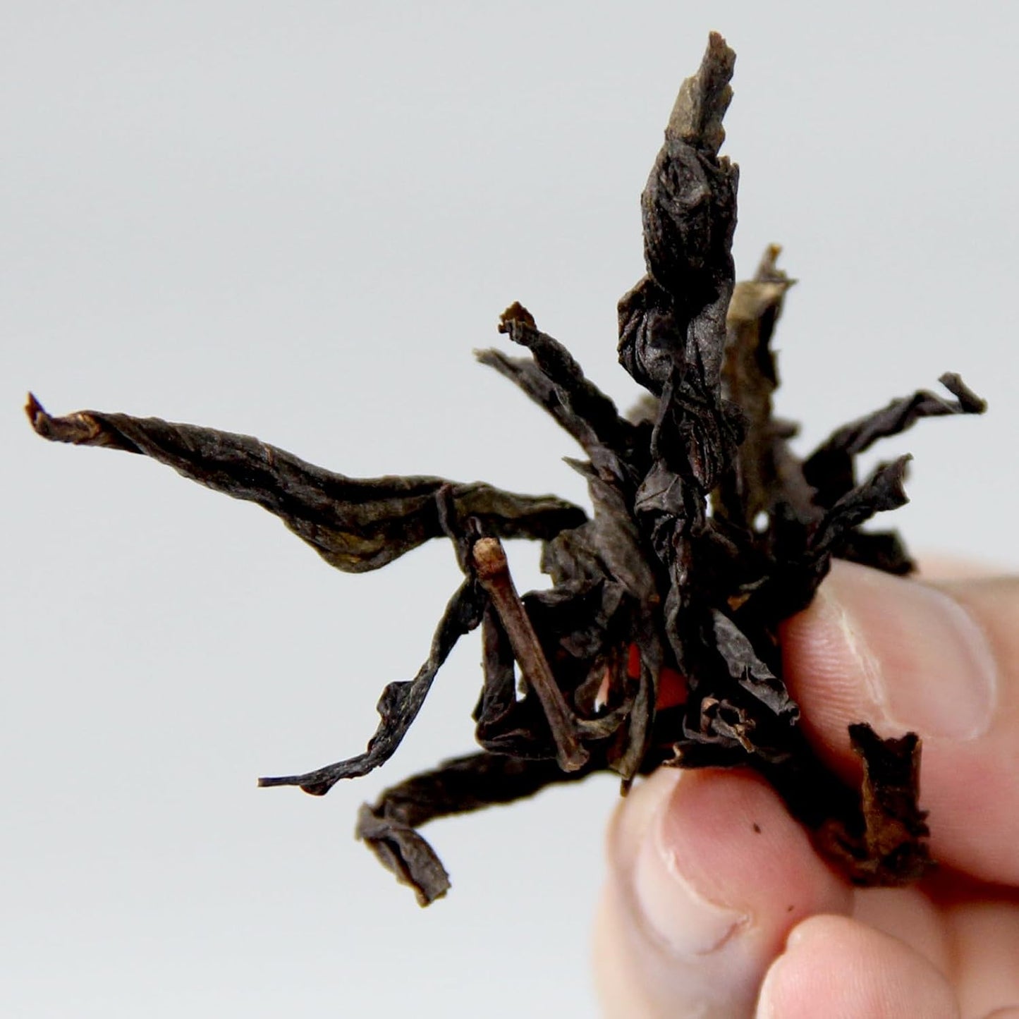 Oolong Tea Da Hong Pao Tea Chinese Kung Fu Tea (50g)