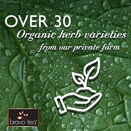 Bravo Tea 6 Mushroom Defense Herbal Tea, Caffeine Free 20 Tea Bags, 1 Count