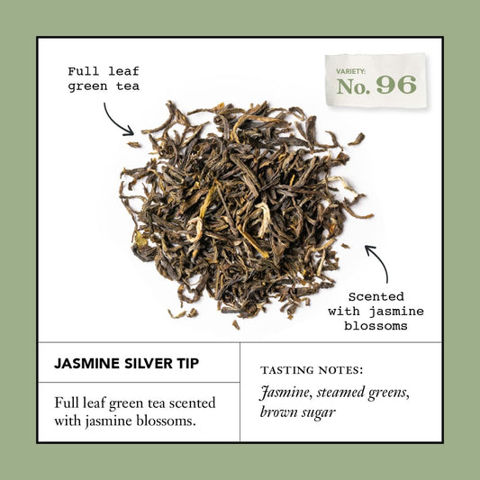 Steven Smith Teamaker, Jasmine Silver Tip, Green Tea, 15 Sachets 1.3oz each | Full Leaf Green Tea, Caffeinated, Sugar Free, Sustainably Grown, Plant Based Sachets, Microplastic-Free