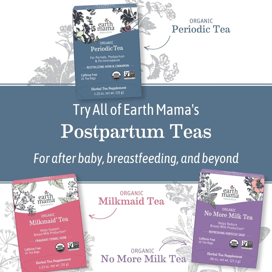Earth Mama Organic Heartburn Tea | Pregnancy-Safe Soothing Herbal Blend with Marshmallow Root, Lemon Balm & Chamomile, 16 Teabags Per Box
