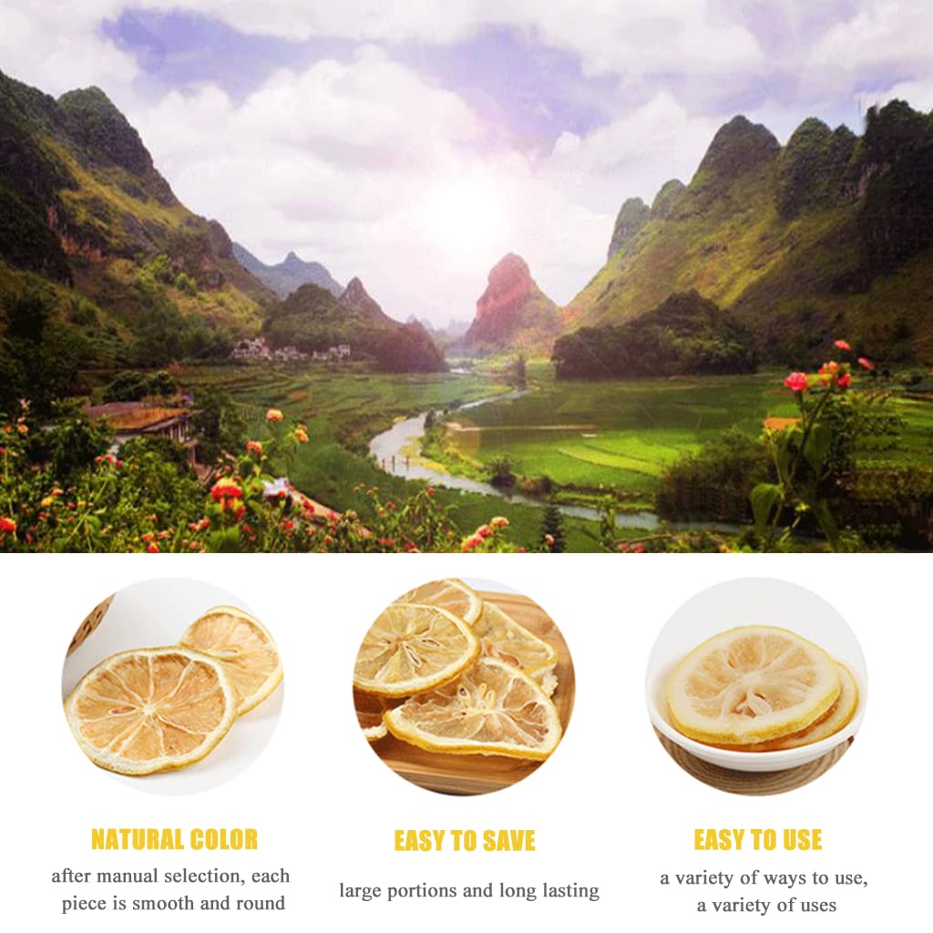 SXET Dried Lemon Slices, 100g/3.52oz Sun-dried Dehydrated Lemon Slice, No Additive, Dehydrated Lemons for Cocktails