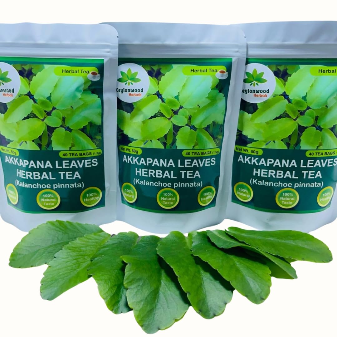Ceylonwood Herbals Organic Kalanchoe pinnata Leaves Tea, miracle leaf air plants Bryophyllum Pinnatum Herbal Tea, 40 Tea