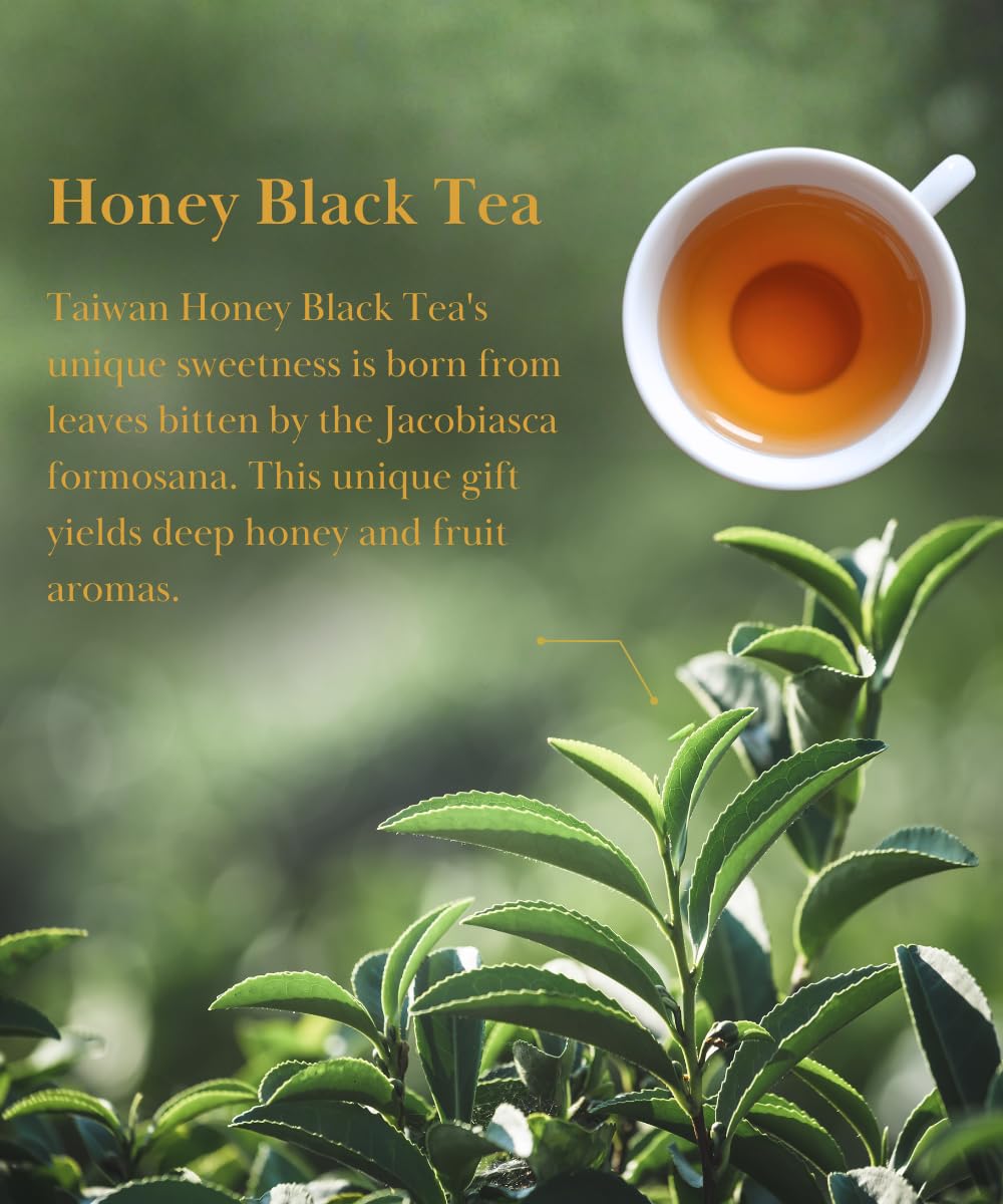 EZR Leaf Tea Sampler Gift Box– 22 Pyramid Tea Bags with Taiwan Black, Osmanthus Oolong, Chamomile Oolong, Berry Black, Four Seasons Green – Flavored Assorted Tea Set for Gifting & Tasting