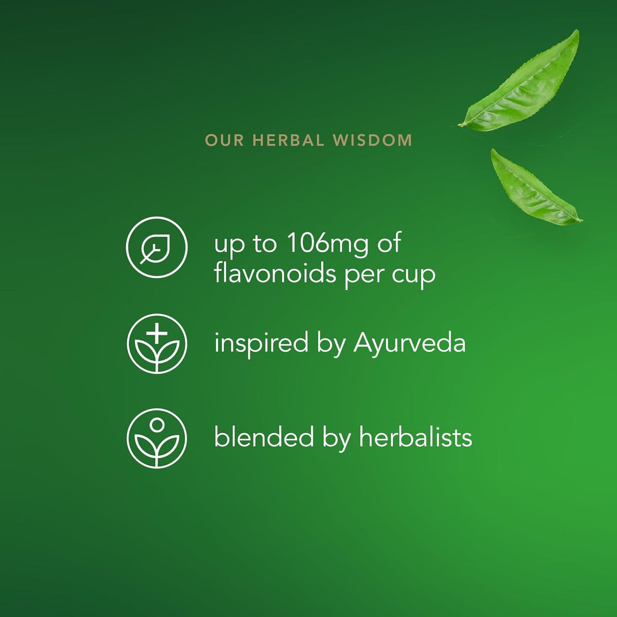 Pukka Supreme Matcha Green Organic Herbal Tea, Energizing Infusion With Matcha Powder, Ideal For Daily Vitality, Caffeine