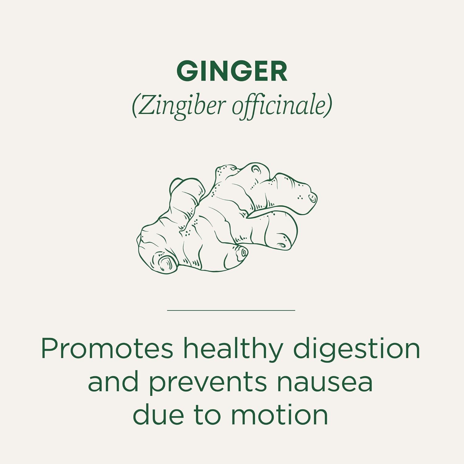 Traditional Medicinals Tea, Organic Ginger, Healthy Digestion, Pleasantly Spicy & Warming, 16 Tea Bags
