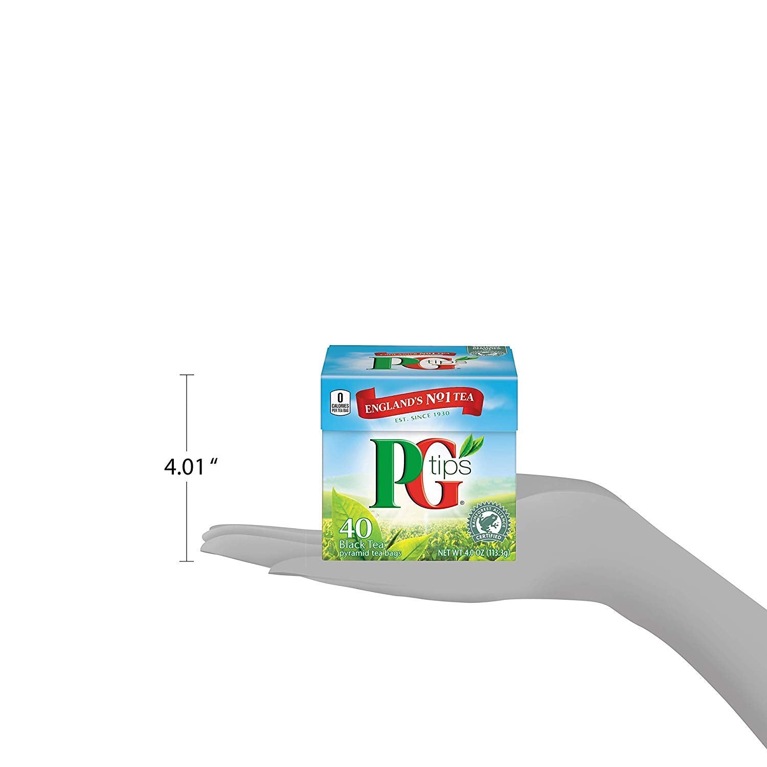 PG Tips Premium Black Tea Bags Non-Pyramid, 40 Count (Pack of 1)