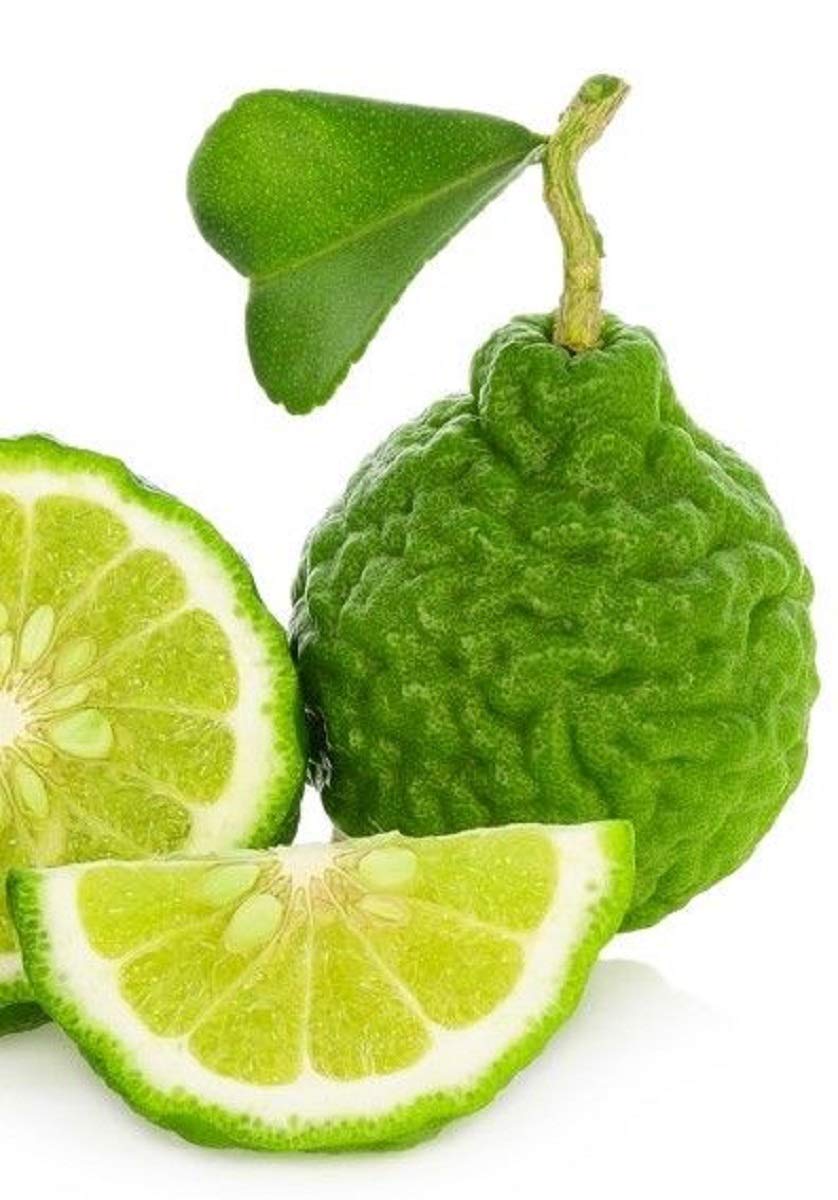 Naturals-n-Organics Organic Bergamot Citrus Earl Grey Tea with Natural Italian Bergamot Oil for Autophagy and Detox, 24 Bio-degradable Pyramid Tea Bags