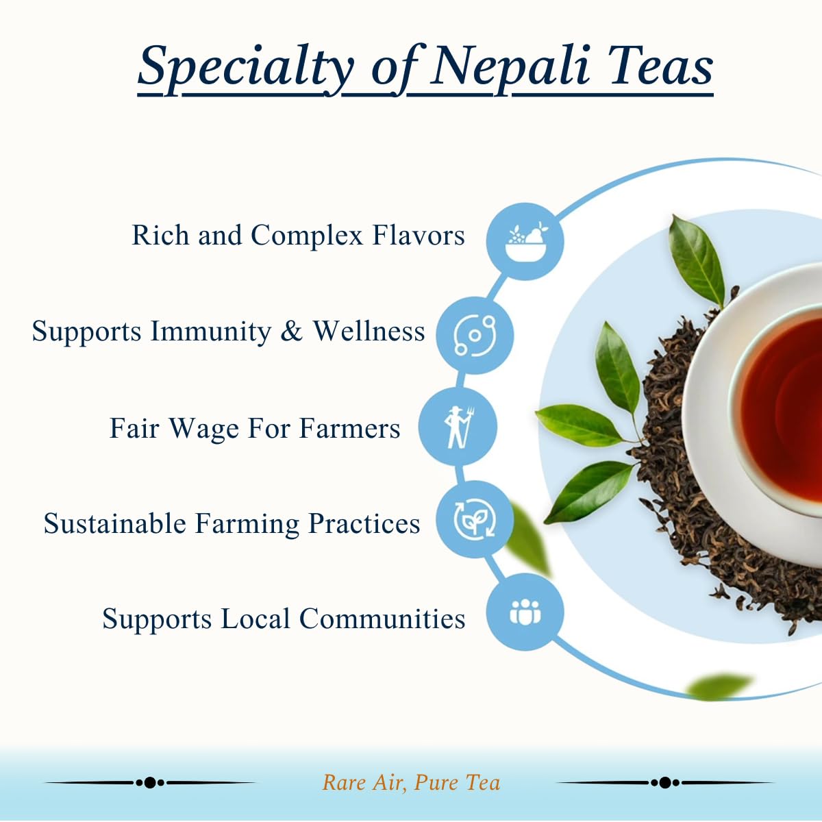 Nepali Tea Traders Annapurna Amber Oolong – Loose Leaf Oolong Tea with Caramel, Malt & Marmalade Notes | Darjeeling-Style from Nepal | High-Altitude Organic Tea | 3 oz Tin