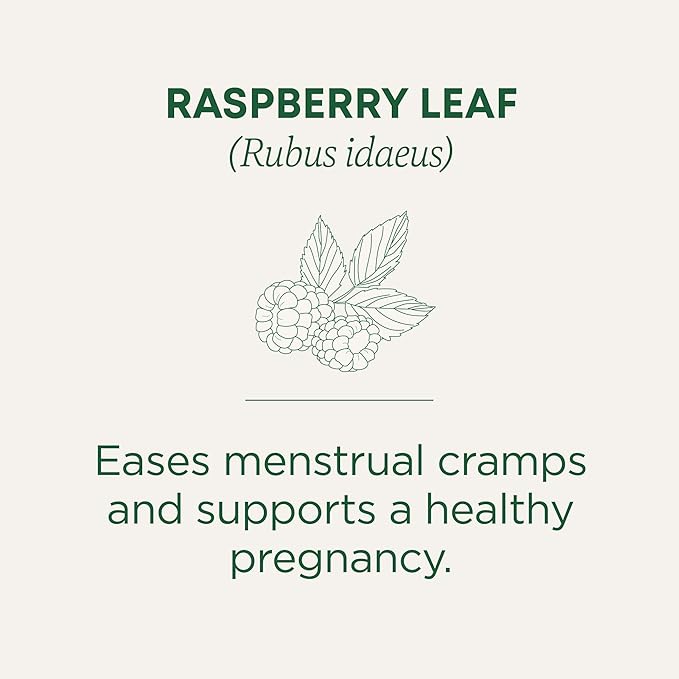 Traditional Medicinals Organic Raspberry Leaf Herbal Tea - 48 Tea Bags