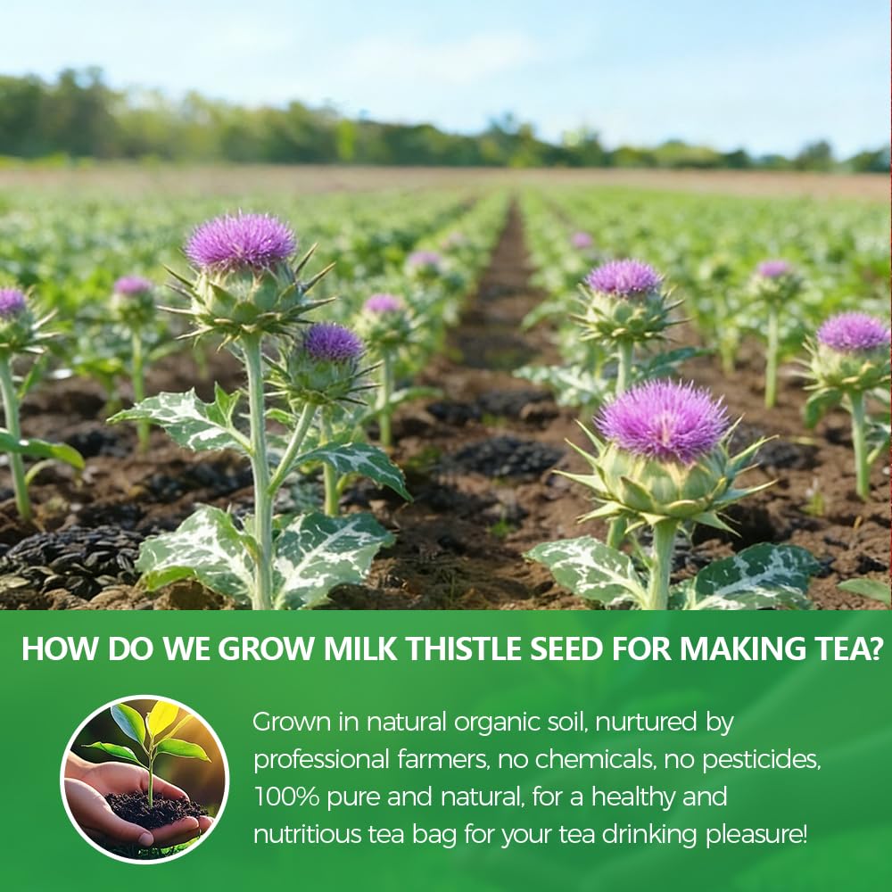 WOTIHA 60 Count Premium Milk Thistle Tea Bags - 100% Natural Milk Thistle Seed, Liver Support, Caffeine-Free, Additive-Free, Non-GMO