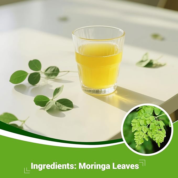 Moringa Leaf Tea - Caffeine Free, 100 Teabags