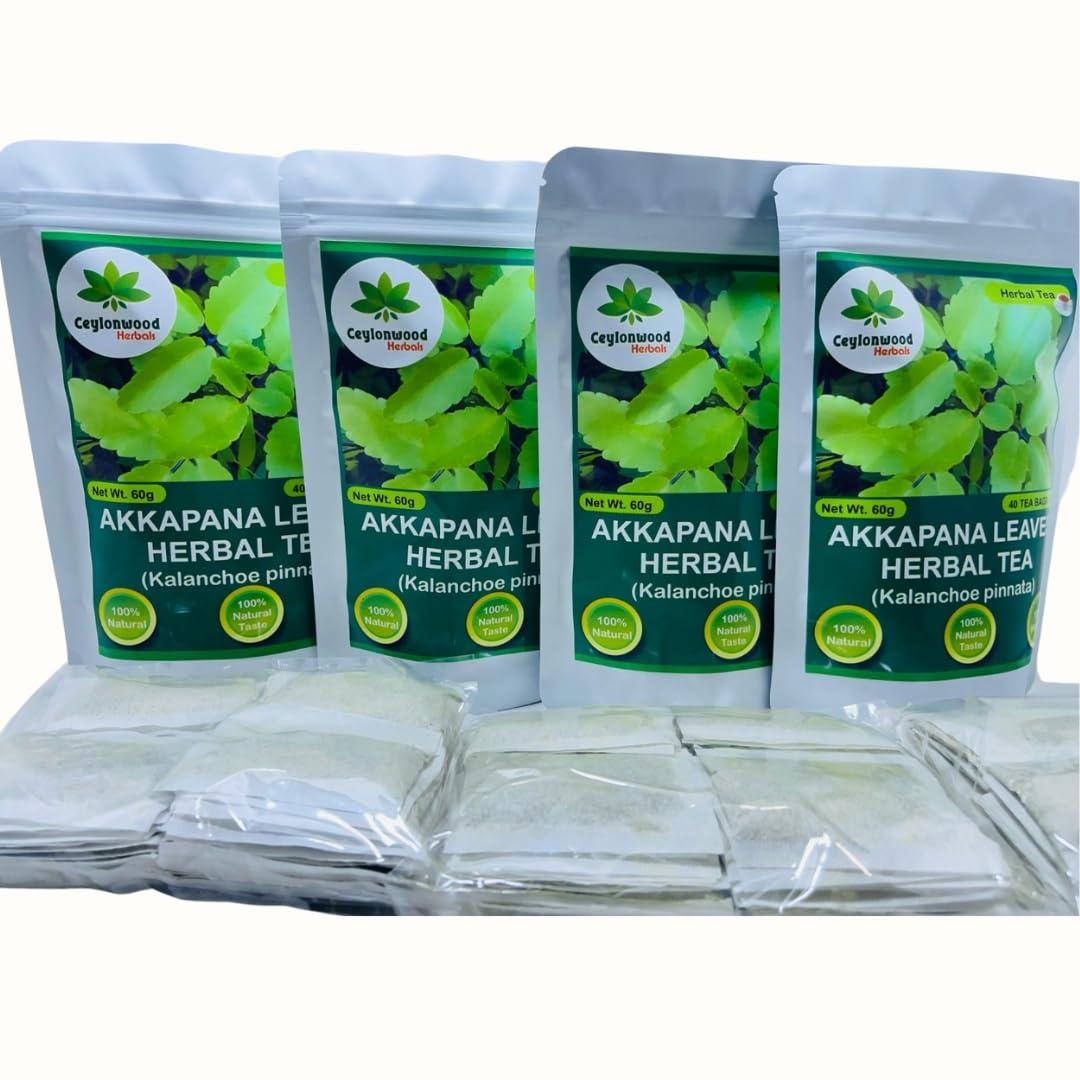 Ceylonwood Herbals Organic Kalanchoe pinnata Leaves Tea, miracle leaf air plants Bryophyllum Pinnatum Herbal Tea, 40 Tea