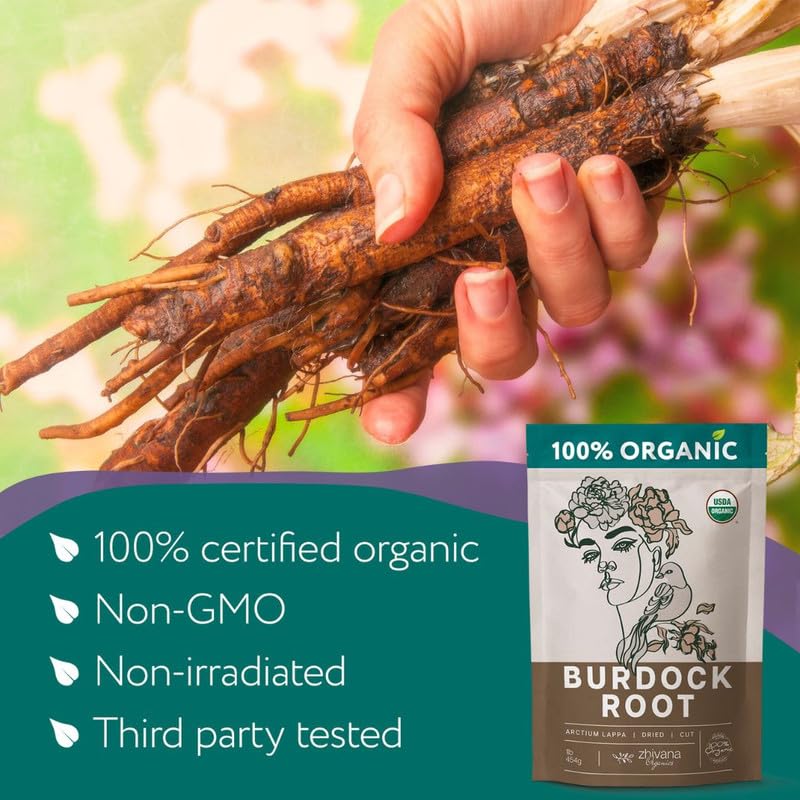 Burdock Root Organic (4oz.) - Greater Burdock Tea - Digestion, Liver, Gut