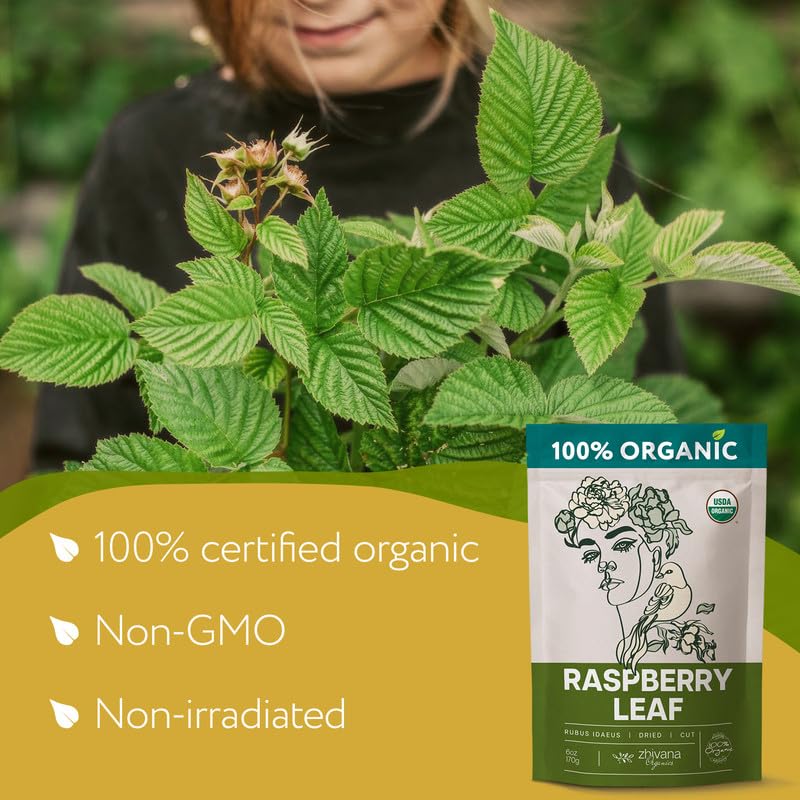 Organic Red Raspberry Leaf Tea