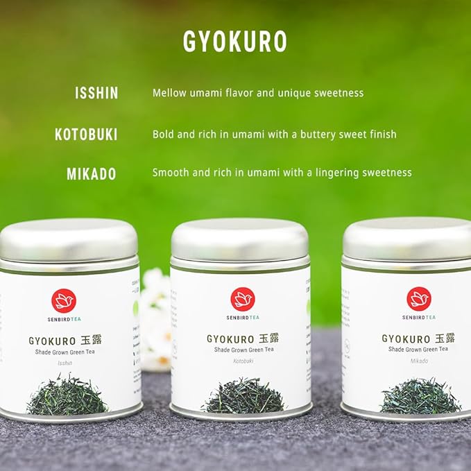 Senbird Premium Gyokuro, Japanese Shade Grown Green Tea - From Kyoto Japan - Imperial Loose Leaf Green Tea In Airtight Tea Tin (1.76oz/50g)