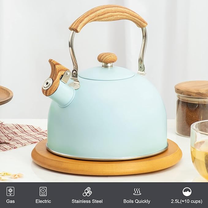 Whistling Stainless Steel Diamond Pattern Tea Kettle with Wood Grain Anti Heat Handle