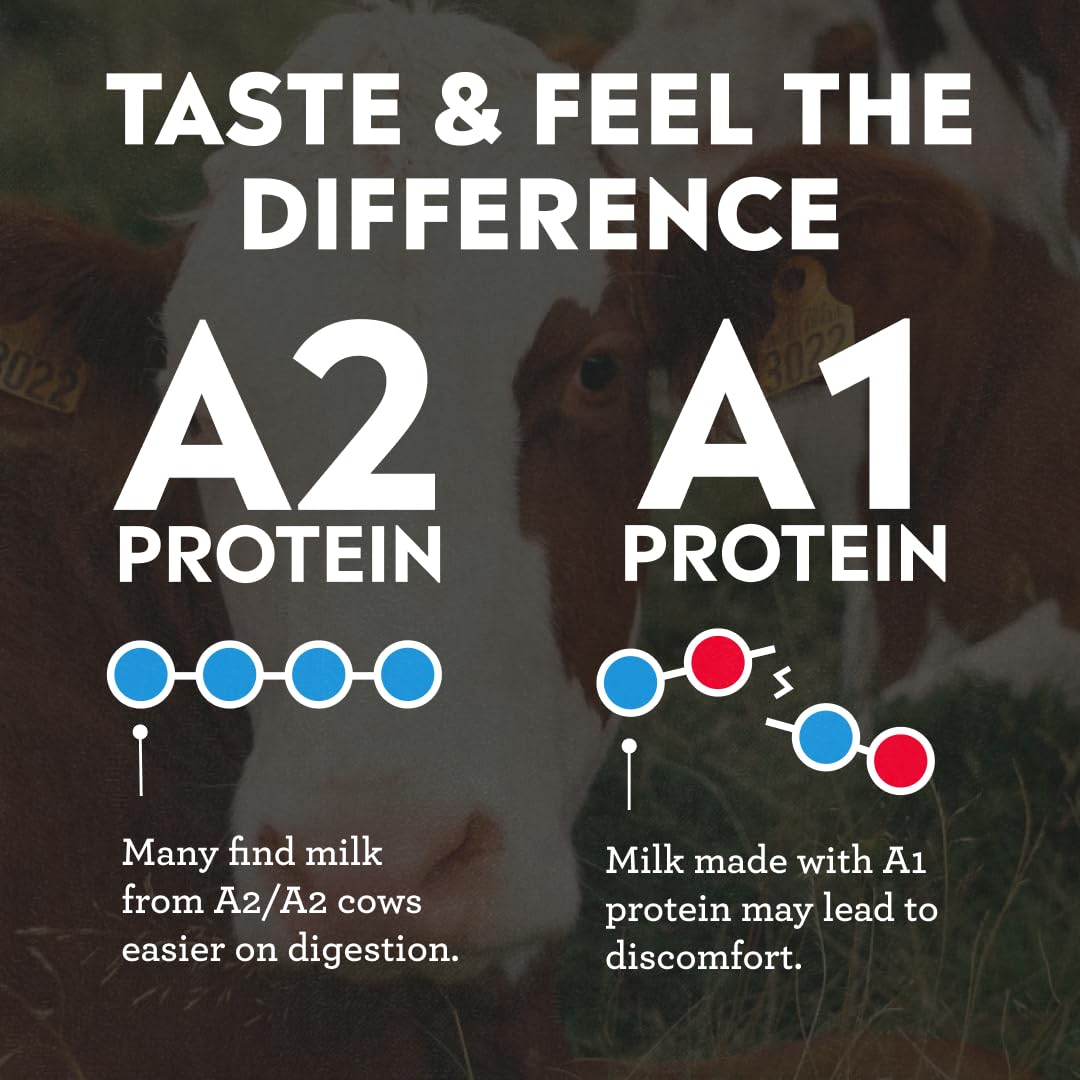 Pioneer Pastures High Protein A2 Milkshakes, Chocolate, 11oz, 12 Pack