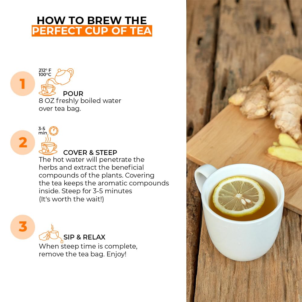 Ginger Root Tea Bags | 25 Count | 3 Pack | Digestion &amp; Immune Support