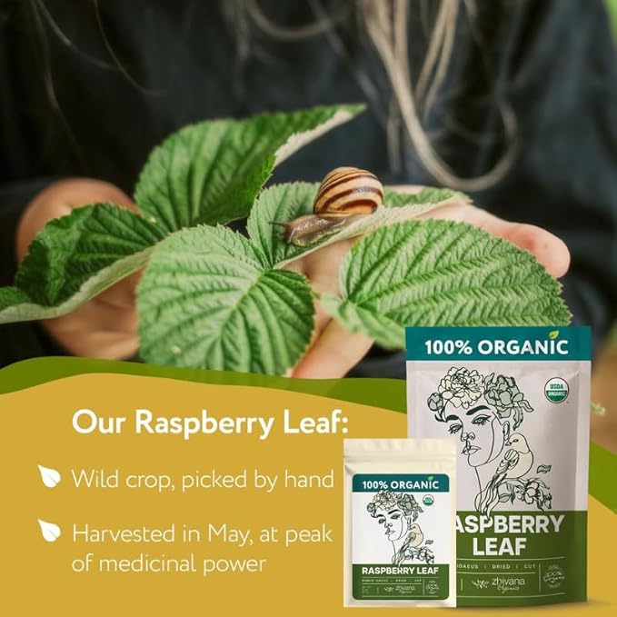 Zhivana Organics Red Raspberry Leaf Tea – Organic Loose Leaves, 2oz