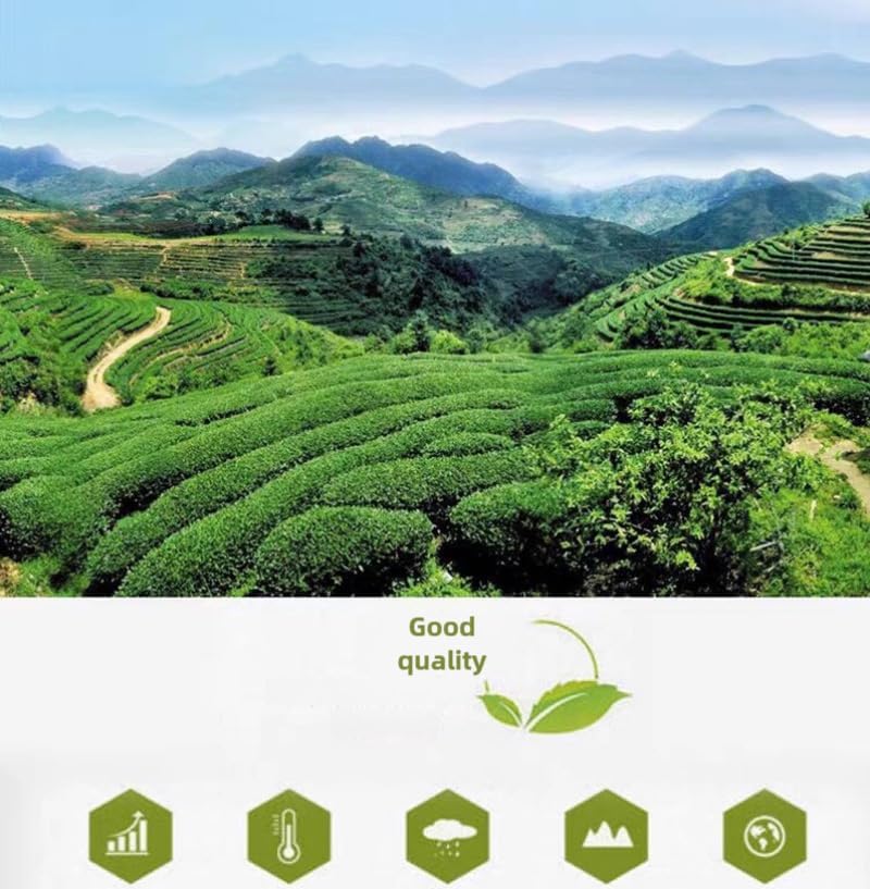 Oolong Tea 8.81oz /250g（30Bags）Phoenix Dancong （Honey Orchid Aroma）Chao Zhou Feng Huang Dan Cong Mi Lan Xiang Loose Leaf 潮州乌岽单枞茶叶 凤凰单丛 (鸭屎香)