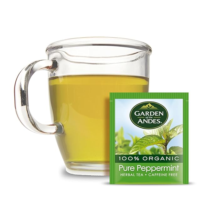 Garden of the Andes - Peppermint Tea - 6 x 20 Tea Bags (120 Count) - USDA Organic Caffeine-Free Herbal Infusion