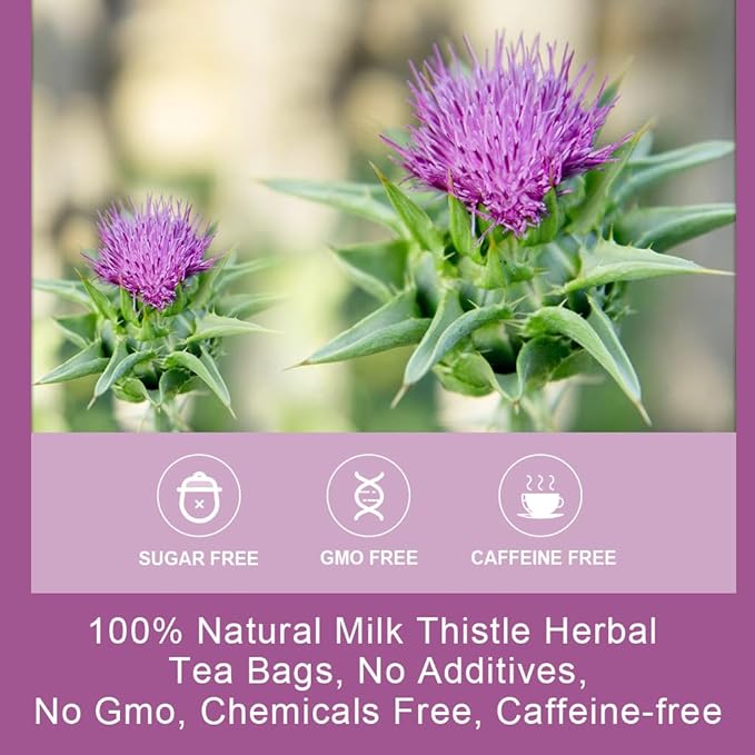 Wogorgt Dried Milk Thistle Tea - Organic Milk Thistle Herbal Tea, Antioxidant and Immune Support, Caffeine Free - 30 Tea Bags