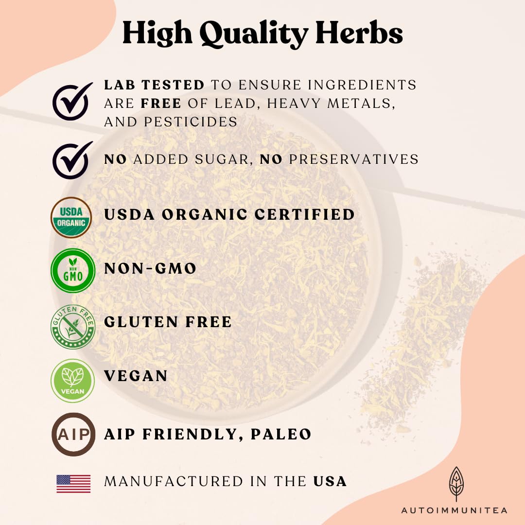 Organic Turmeric Ginger Loose Leaf Tea Bags – Immunity Tea, Wellness Tea, Caffeine Free, AIP Autoimmune Protocol, Whole30 Paleo, Ayurvedic Rooibos Golden Tonic Herbal Blend, 15 Count