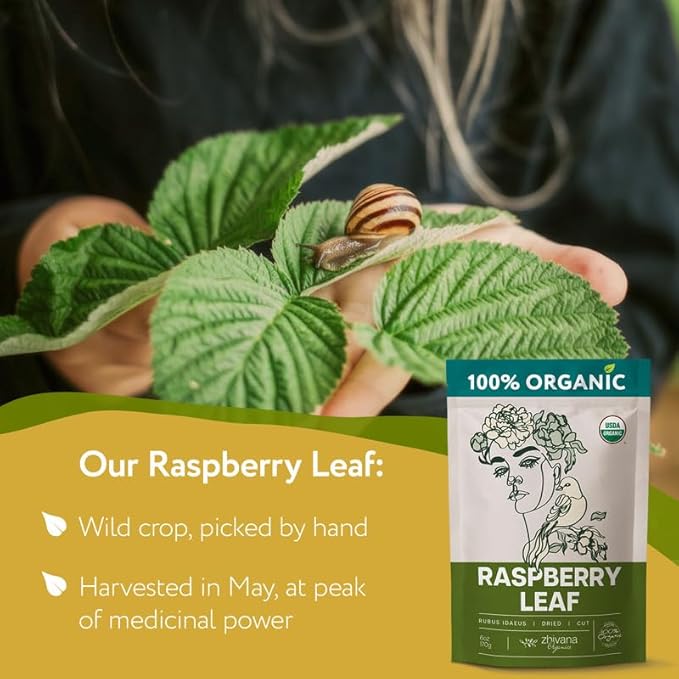 Organic Red Raspberry Leaf Tea – Wild Raspberry Tea for Healthy Cycle – 6oz