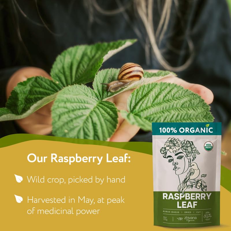 Organic Red Raspberry Leaf Tea