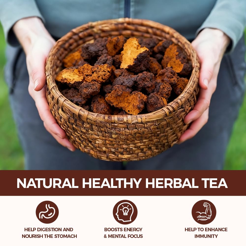 WOTIHA 50 Count Premium Chaga Tea Bags - 100% Pure Siberian Wild Harvest Chaga Mushroom, Supports Antioxidant &amp; Immune Health, Caffeine-Free, Additive-Free, Sugar-Free, Vegan
