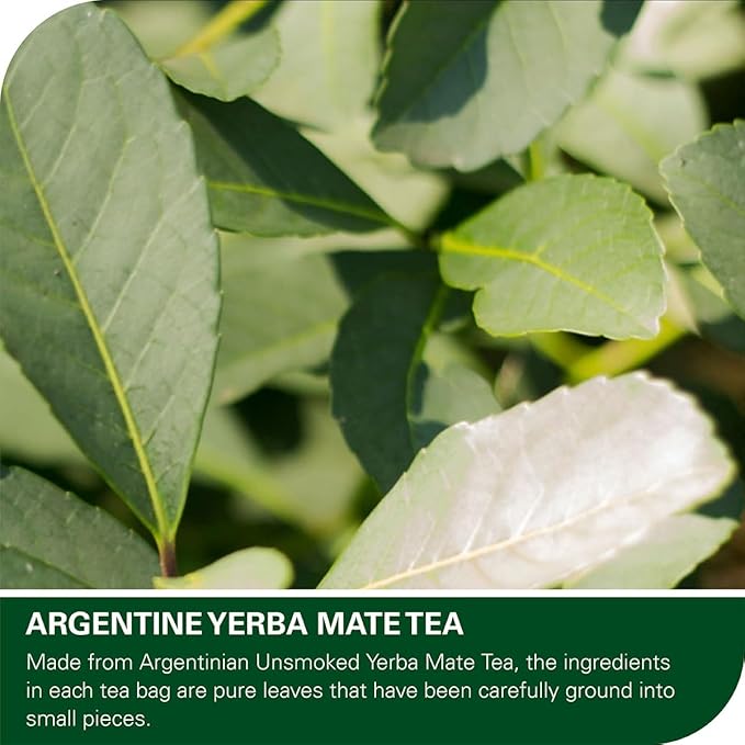WT WEETEE Yerba Mate Tea Bag, Unsmoked Yerba Mate 50 Teabags From Argentina, Rich In Antioxidants, Plant Nutrients, Perfect Coffee Replacement