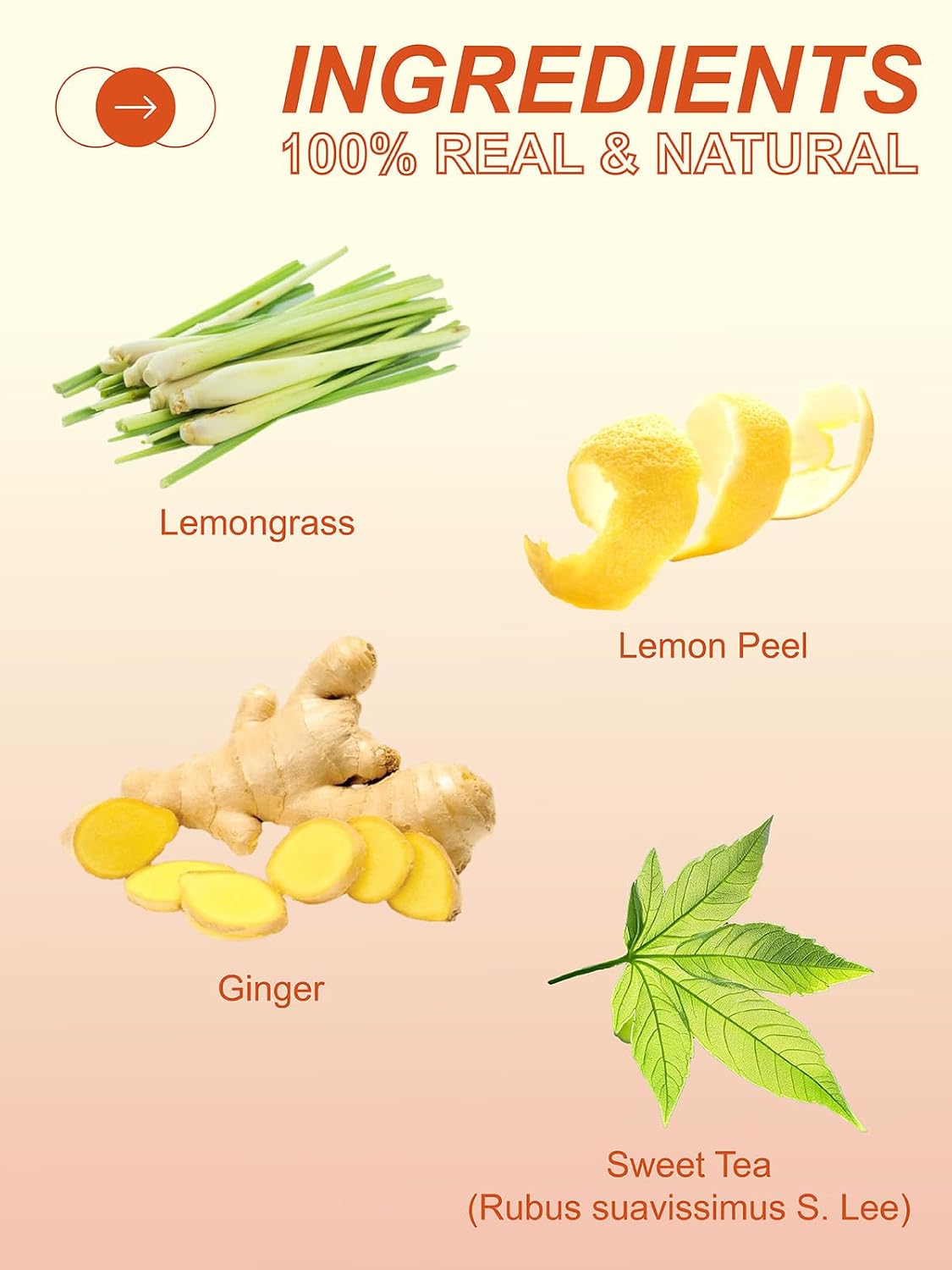 TeeLux Lemon Ginger Tea, Soothing &amp; Warming Flavor, Caffeine Free, 100 ct | Zesty Ginger Root Blend with Lemongrass, Lemon Peel &amp; Sweet Tea Leaves, Citrus Aroma, Sugar Free, Gluten Free, Hot or Iced