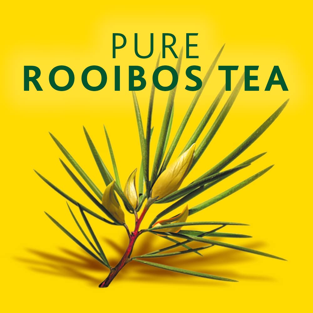 PakFresh Freshpak Pure Rooibos Tea 80 Tagless Bags 80 Count (Pack of 4)