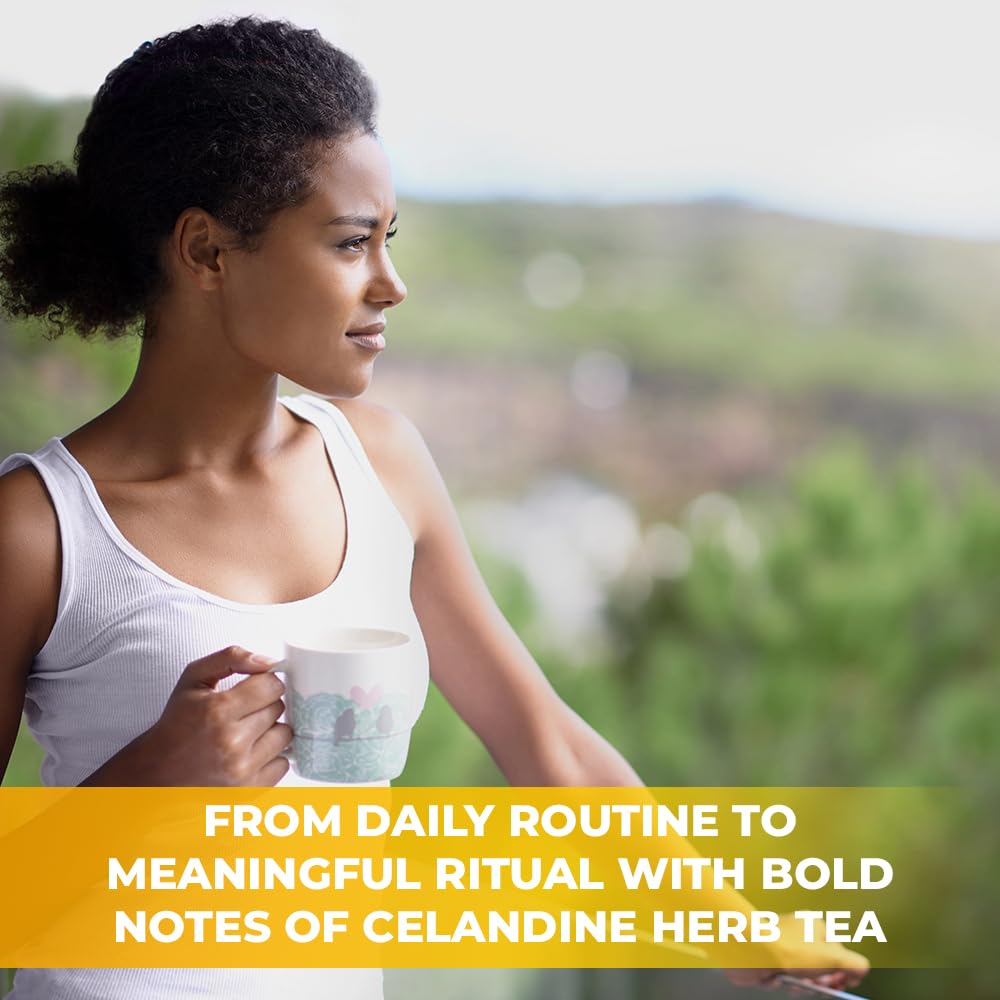4 oz. Celandine Herb Herbal Tea (Chelidonium Majus) - 113g Herb Tea Celidonia Celandines