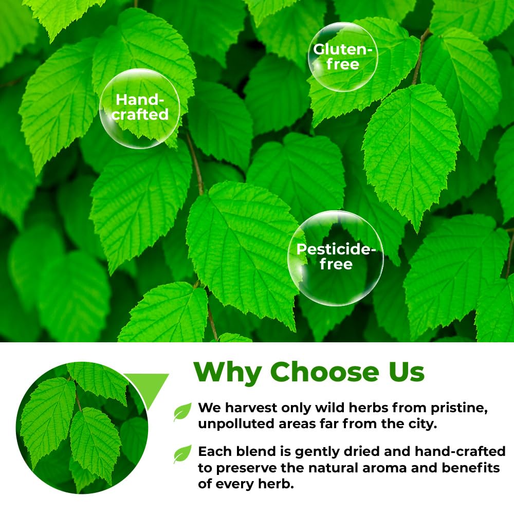 2 oz. Hazel Leaf Herbal Tea (Folium Coryli avellanae) – 56g Dried Hazel Leaf Tea Hojas de Avellano