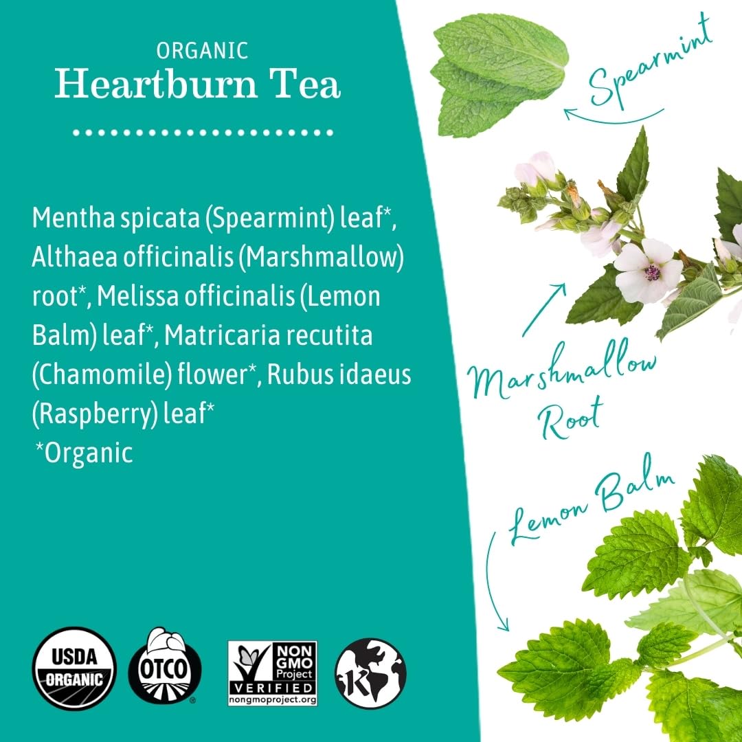 Earth Mama Organic Heartburn Tea | Pregnancy-Safe Soothing Herbal Blend with Marshmallow Root, Lemon Balm & Chamomile, 16 Teabags Per Box