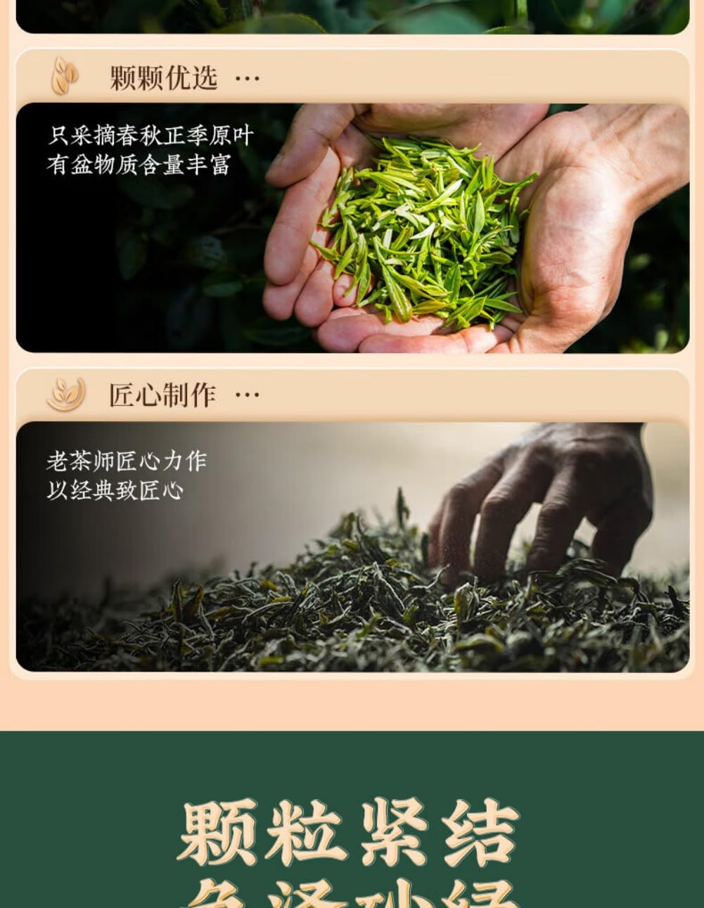 安溪铁观音 Chinese Tieguanyin Oolong Tea 茶叶浓香型清香 Natural Loose Leaf Tea,Chinese Tea, Sulfur Free 250g*2袋【安溪铁观音 Chinese Tieguanyin Oolong Tea 】回购装 Flower tea,dark tea,loose tea