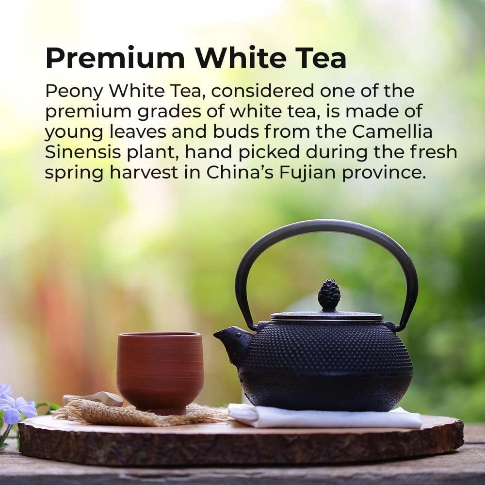 Prince of Peace Organic White Tea - 100 Tea Bags, 2 pack
