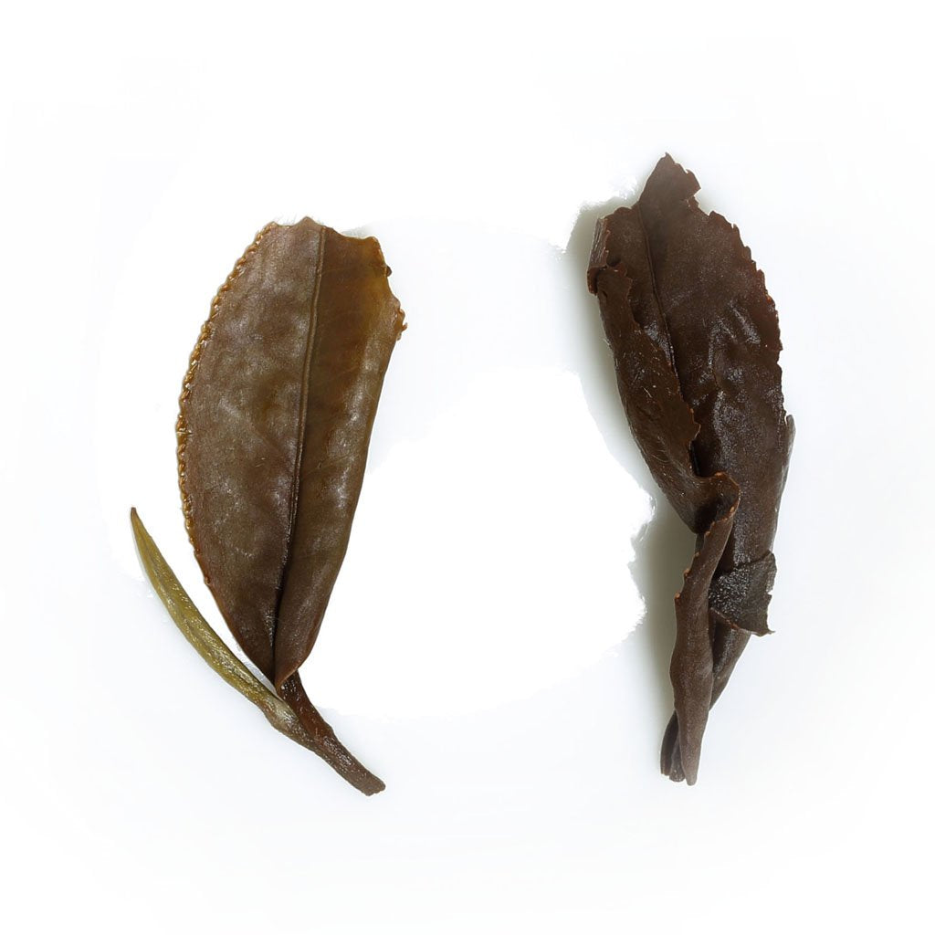 GOARTEA White Tea - 100g / 3.5oz Supreme Grade - Fuding Gongmei - Tribute Eyebrow Chinese White Tea Loose Leaf - Low Caffeine