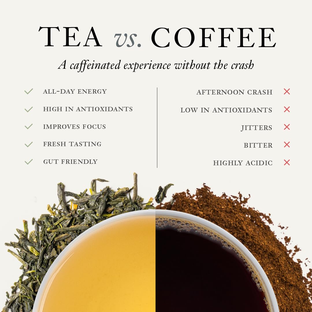 Steven Smith Teamaker, Jasmine Silver Tip, Green Tea, 15 Sachets 1.3oz each | Full Leaf Green Tea, Caffeinated, Sugar Free, Sustainably Grown, Plant Based Sachets, Microplastic-Free