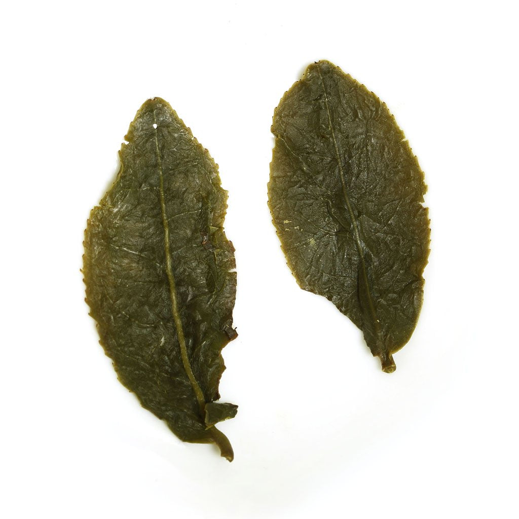 GOARTEA Taiwan Oolong Tea Dong Ding Oolong Tea 50g / 1.76oz Supreme Strong Aroma Tung Ting Green Oolong Tea Dongding High Mountain Oolong Tea Loose Leaf