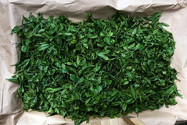 CLASSIC ASSAM GREEN TEA, Green Tea, Loose Leaf (250g/8.81oz)/100 Cups | Non-GMO, 100% Pure Organic Green Tea Leaves Sourced from Lush Brahmaputra Valley in the Himalayan Foothills, Assam, India | Resealable Ziplock Pouch